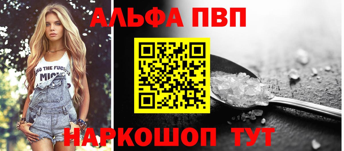 Alfa_PVP СК Каменка