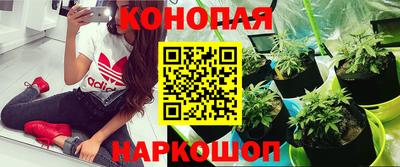 mdpv Берёзовский