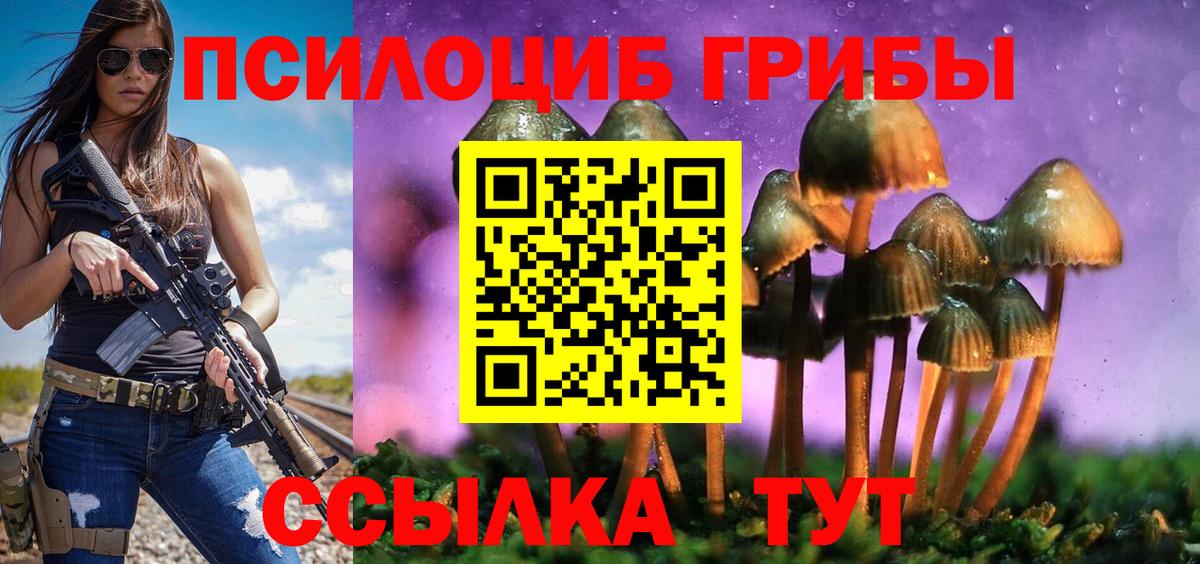 Псилоцибиновые грибы ЛСД  Псилоцибиновые грибы MAGIC MUSHROOMS  продажа наркотиков  Вход с VPN  Каменка 