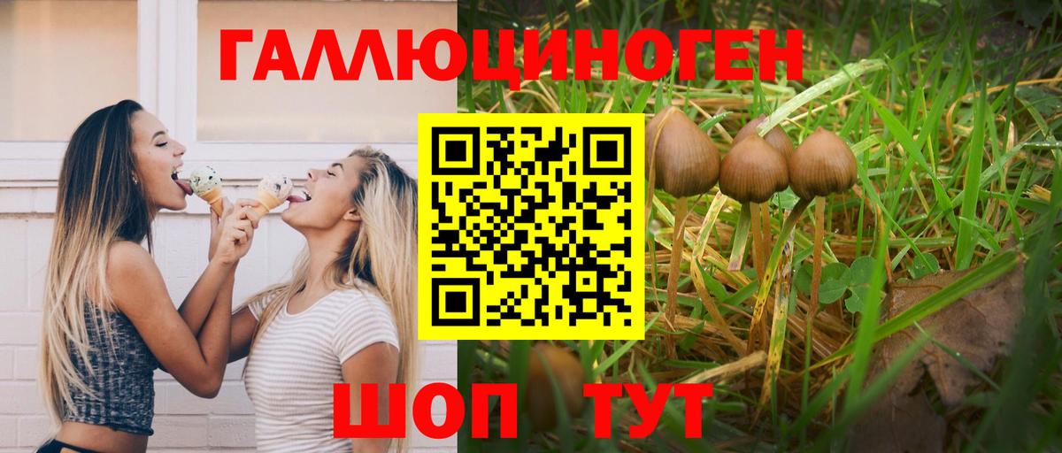 Галлюциногенные грибы прущие грибы Каменка
